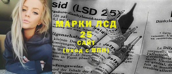 гашик Горняк